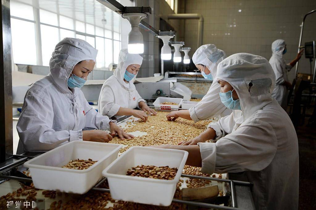 臨沂食品企業(yè) 深加工花生，提升農(nóng)產(chǎn)品附加值，打造國(guó)家保健食品生產(chǎn)新標(biāo)桿